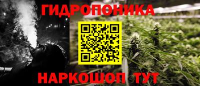 ALPHA PVP Аргун