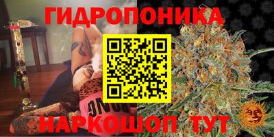 ALPHA PVP Аргун