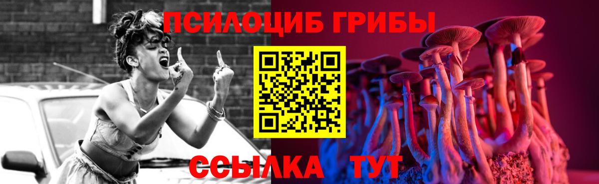 Галлюциногенные грибы Psilocybine cubensis  Псилоцибиновые грибы мицелий  Вход с VPN  Архангельск 