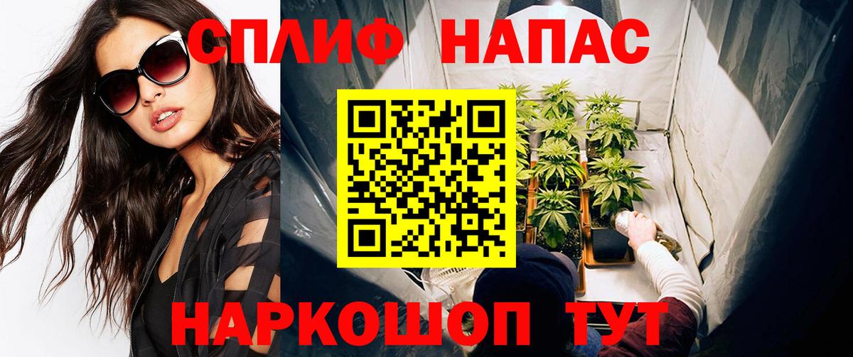 Галлюциногенные грибы Архангельск
